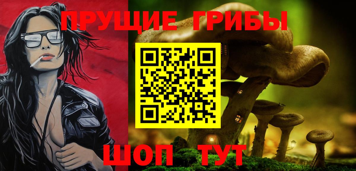 Псилоцибиновые грибы Cubensis  Вход с VPN  Вичуга 