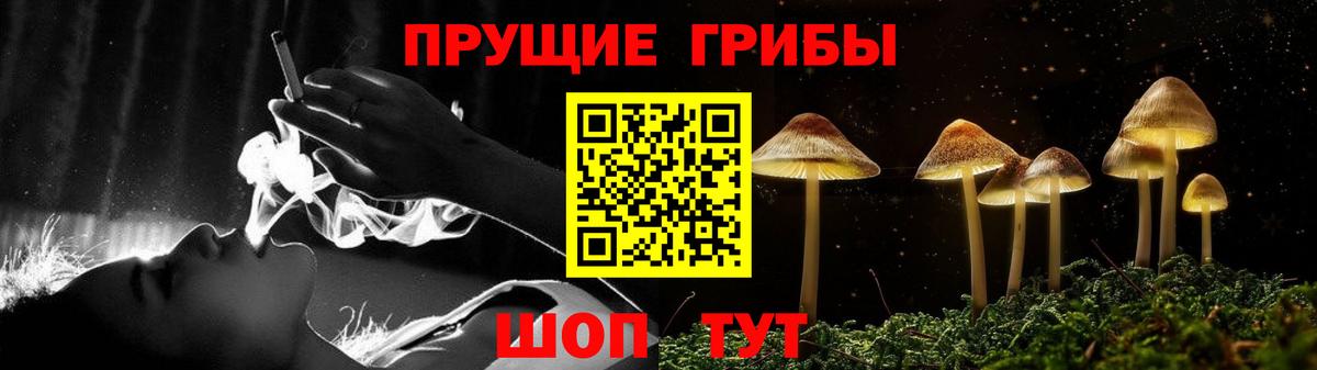 Галлюциногенные грибы мицелий Вичуга